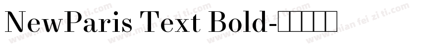 NewParis Text Bold字体转换